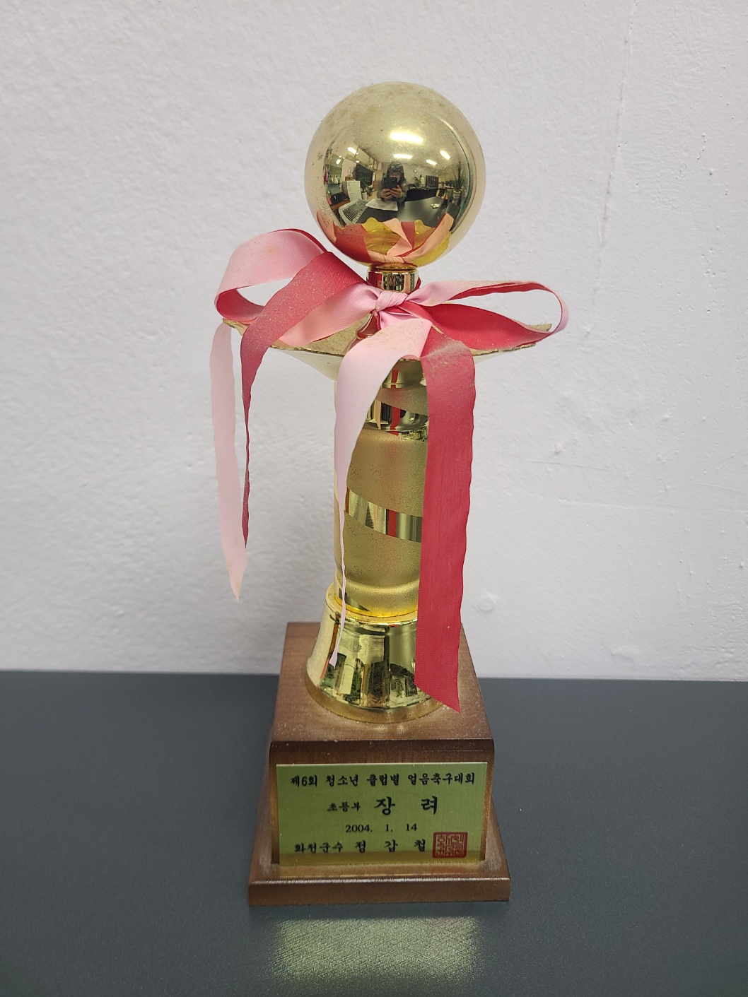 제 6회 청소년 클럽별 얼음축구대회 초등부 장려상[다목초등학교 소장] 사진