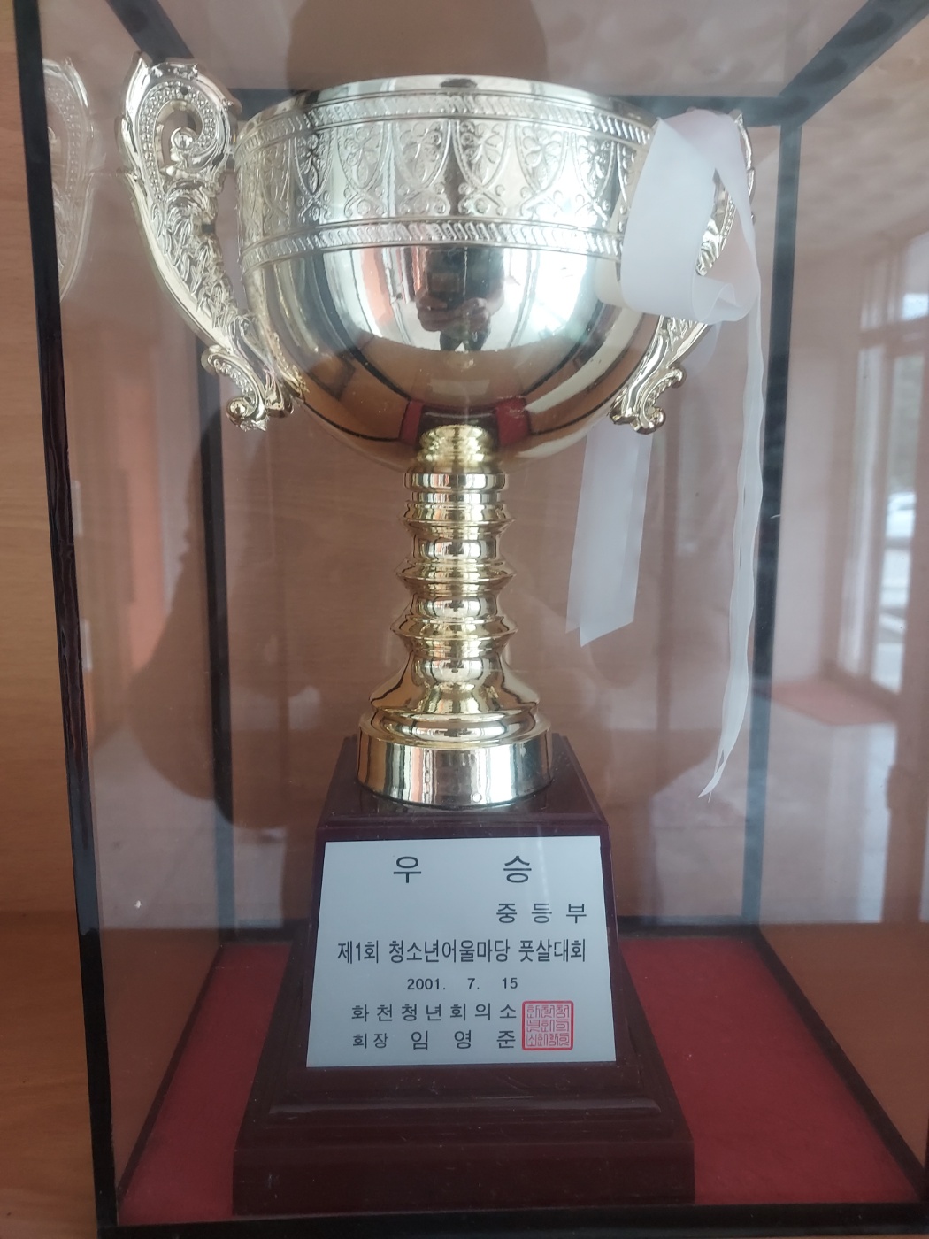 제1회 청소년어울림마당 풋살대회 중등부(우승)[사내중학교 소장] 사진