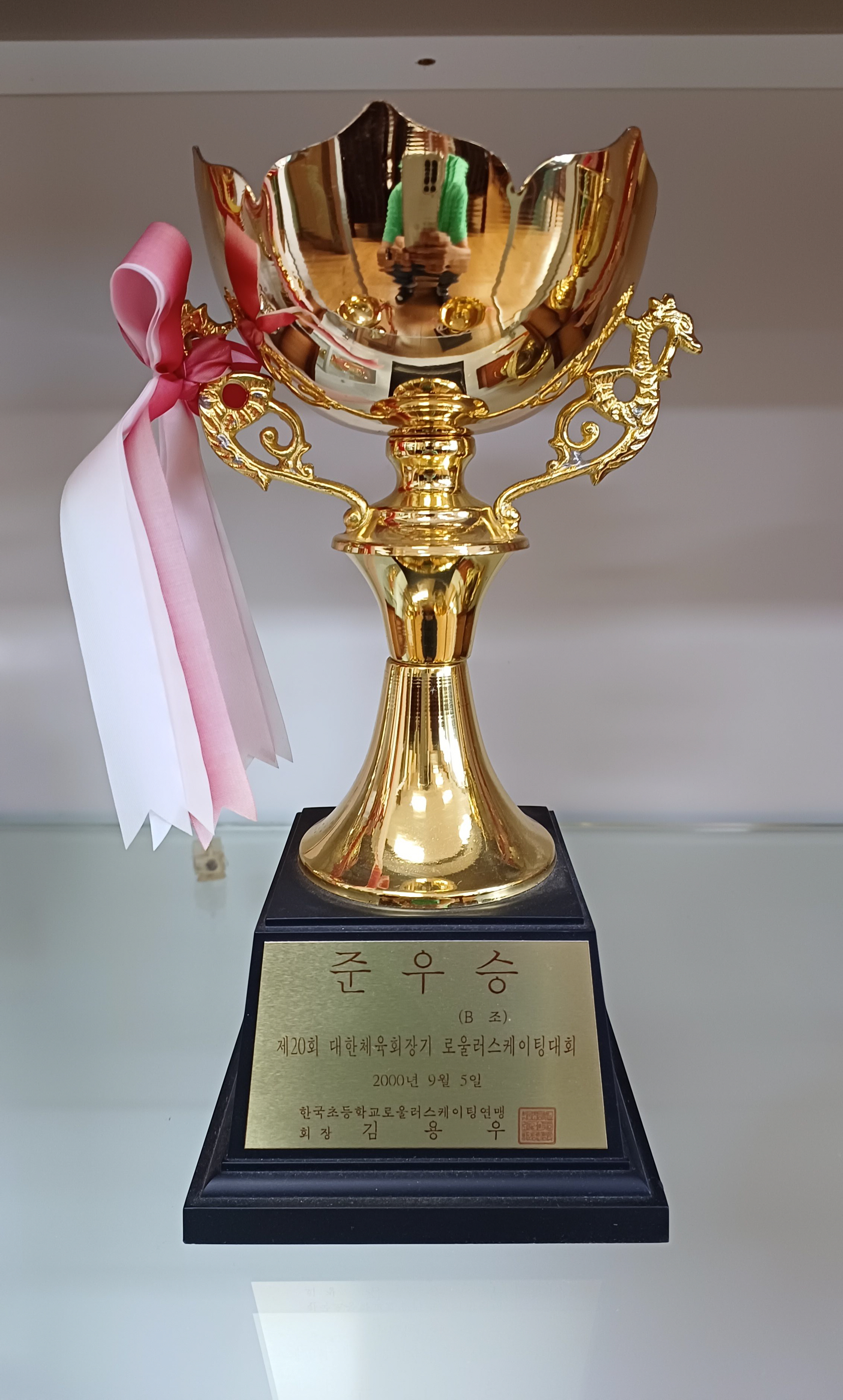 제20회 대한체육회장기 전국초등학교 롤러경기대회 B조 준우승[사내초등학교 소장] 사진