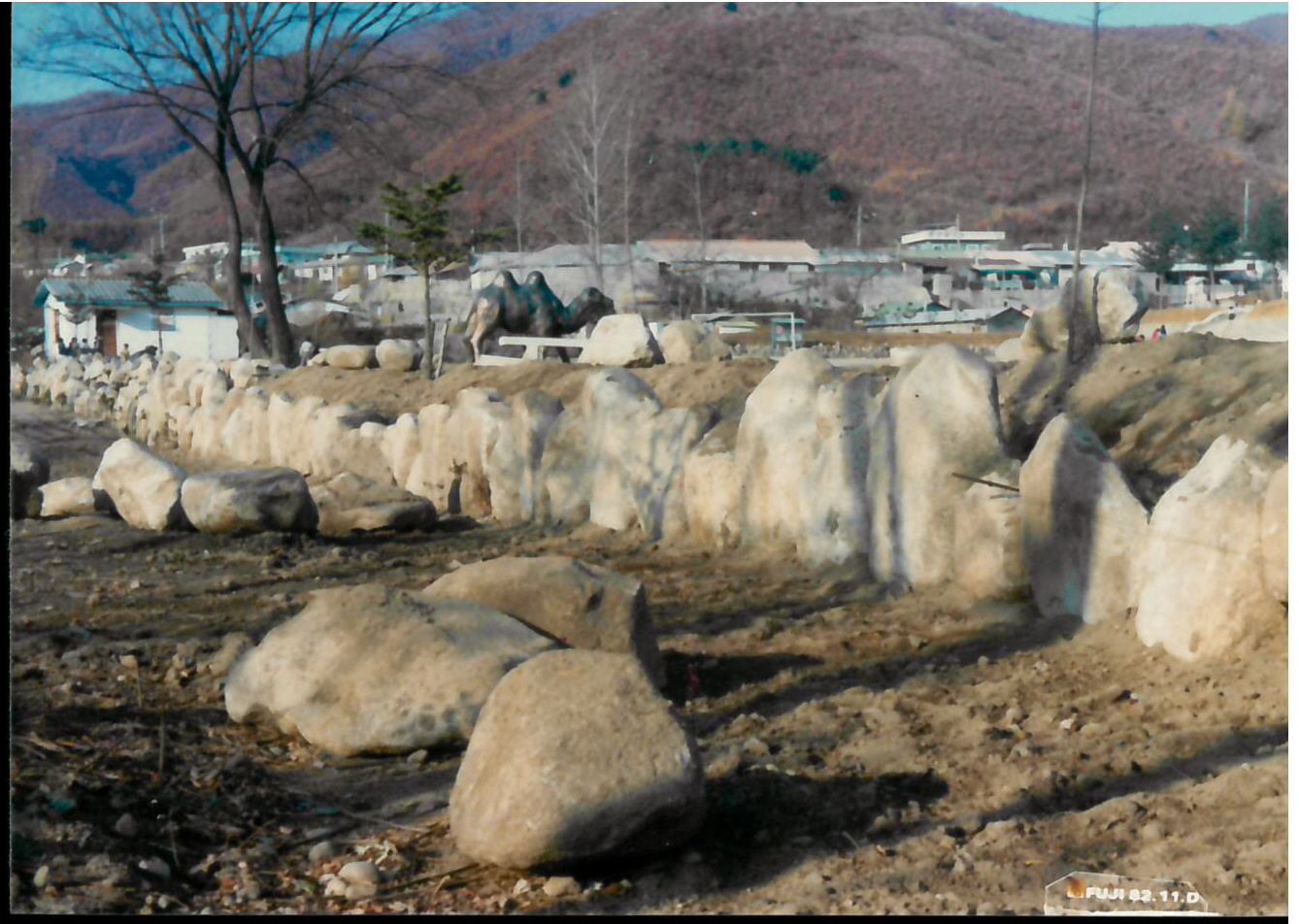 과도기(대성~다목국민학교) 사진